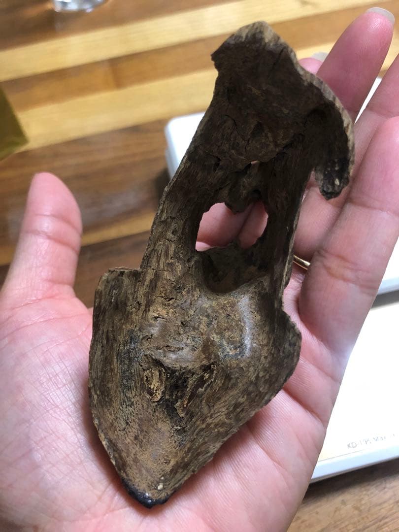 ベトナム産高品質沈香伽羅14.5g香木水に沈みます。