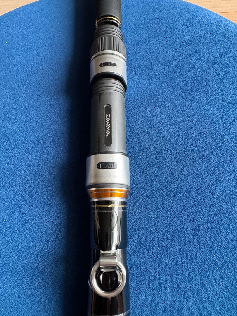 ダイワ 剛徹 遠投 6-51