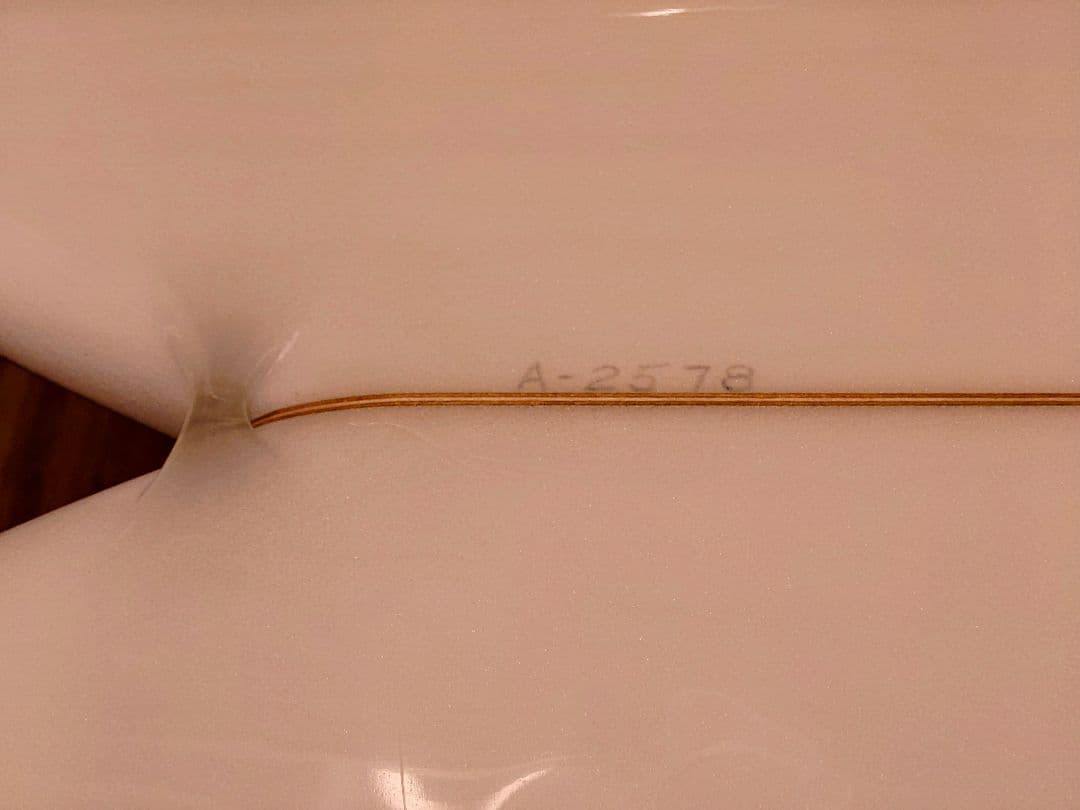 スキップ・フライ フィッシュ 5'7 Skip Frye FISH 5'7