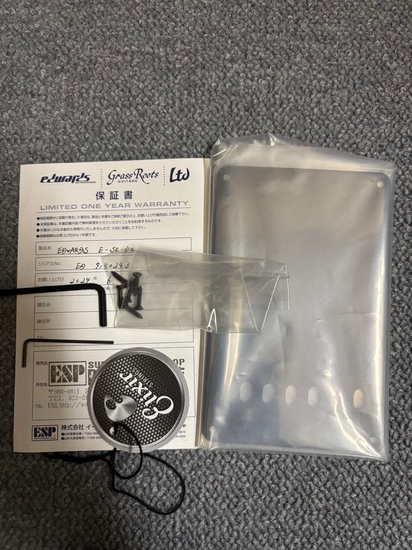 ギター SUGIZO EDWARDS E-SE-DII