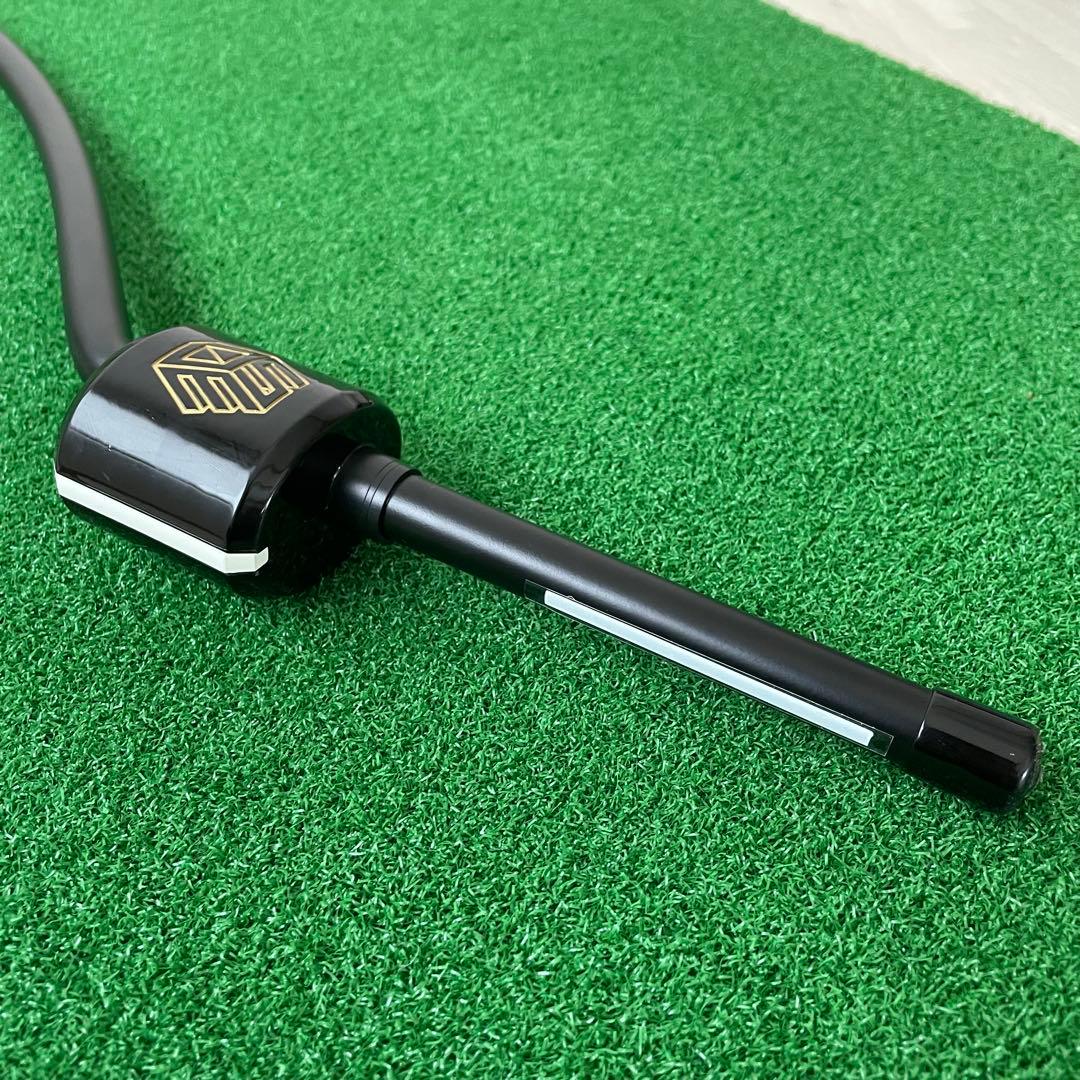 3D Swing Mentor スイングメンター TASK GOLF 正規品