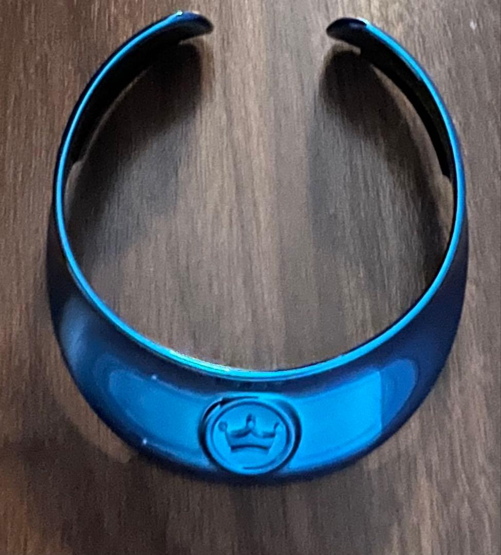 ⭐︎チワワさん専用⭐︎ aiboプレミアムプラン限定 首輪 赤 青