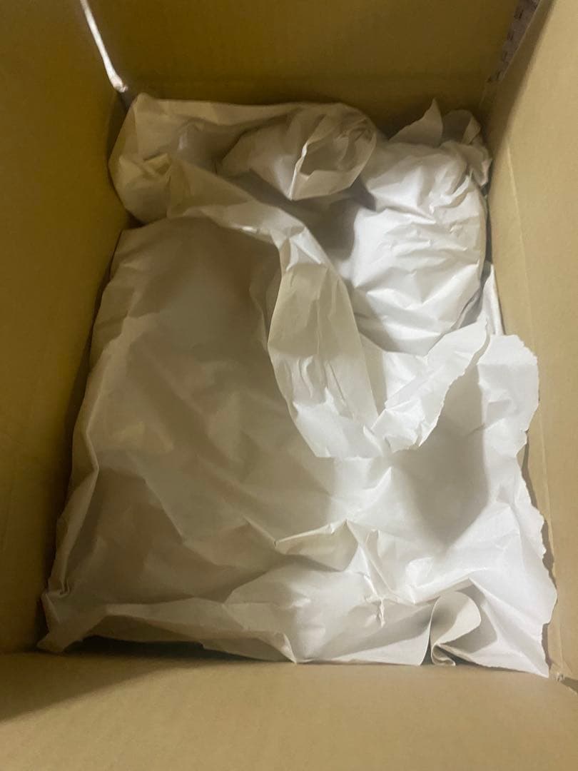 ライザのアトリエ3 終わりの錬金術師と機密の鍵説明欄必読お願いいたします！