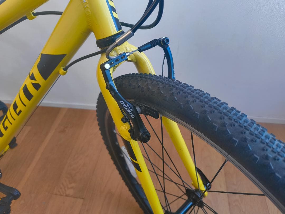 【引き取り希望　東京　三鷹市　】GIANT ARX キッズバイク 　24インチ