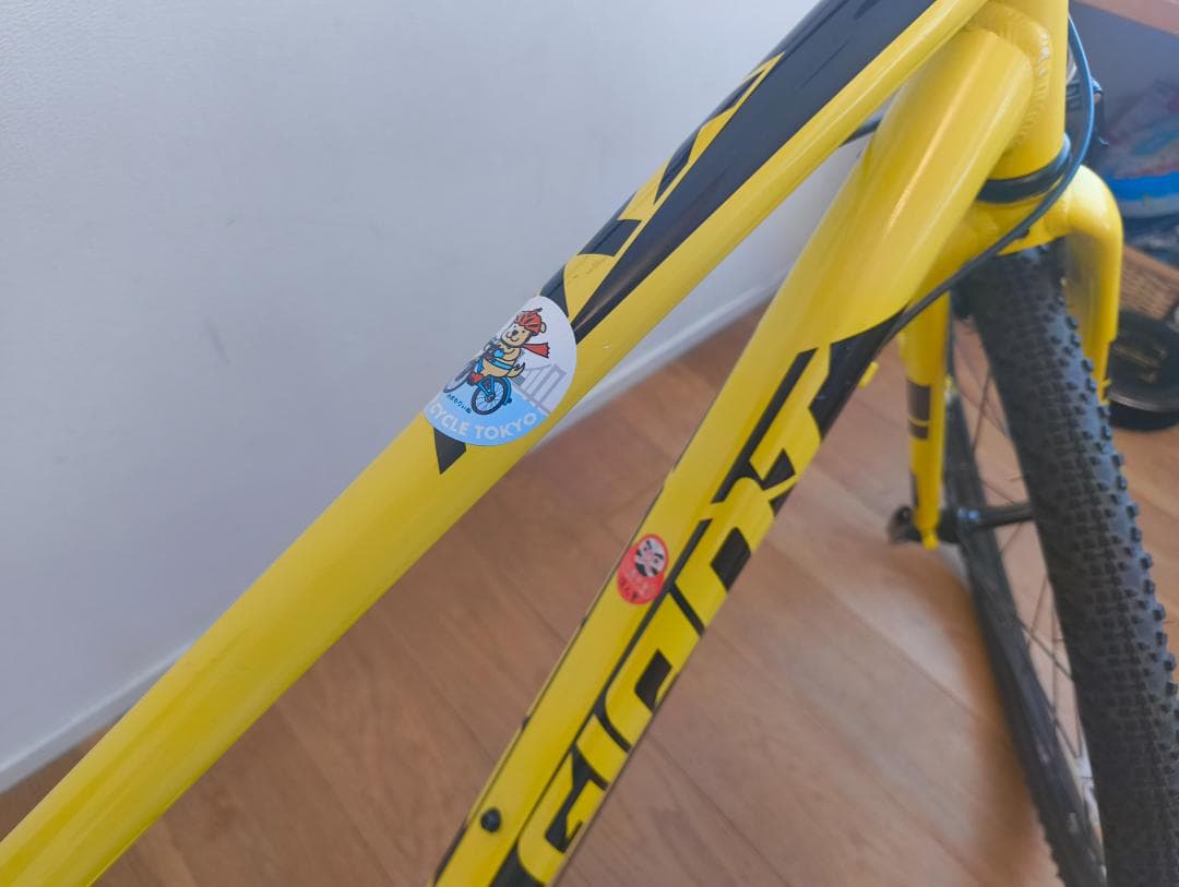 【引き取り希望　東京　三鷹市　】GIANT ARX キッズバイク 　24インチ