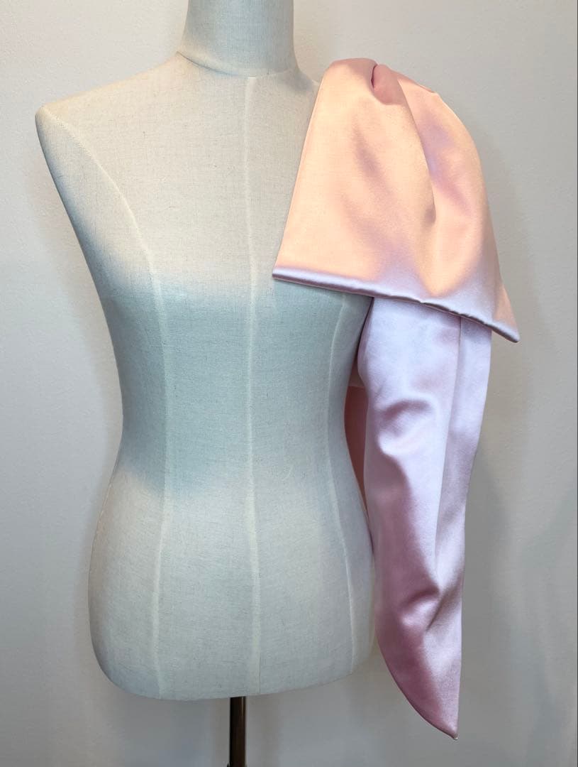 Sandy Liang Regalo Bag In Carnation バッグ