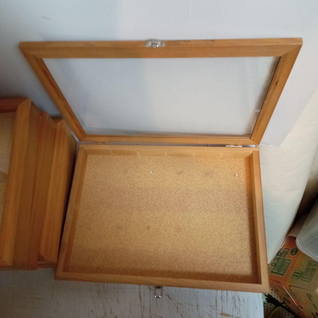 木製昆虫標本箱　５個セット