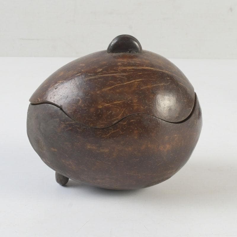 茶道具　椰子の実　内金溜　菓子器　時代箱　M　9853