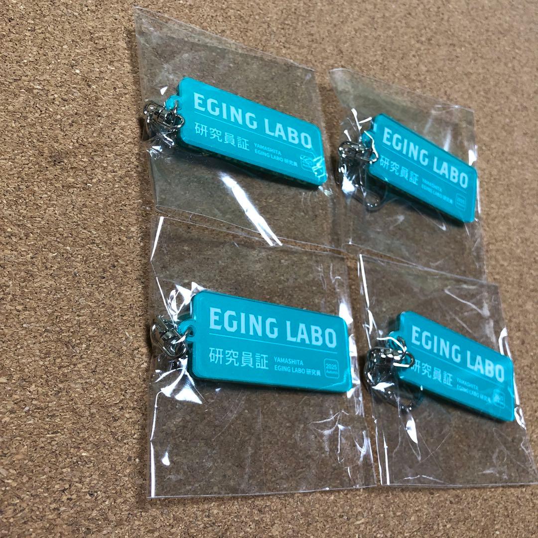 ヤマシタ エギ王K エギングラボ ポラマジ虹 ポラマジメジナ ルアー エギ 餌木