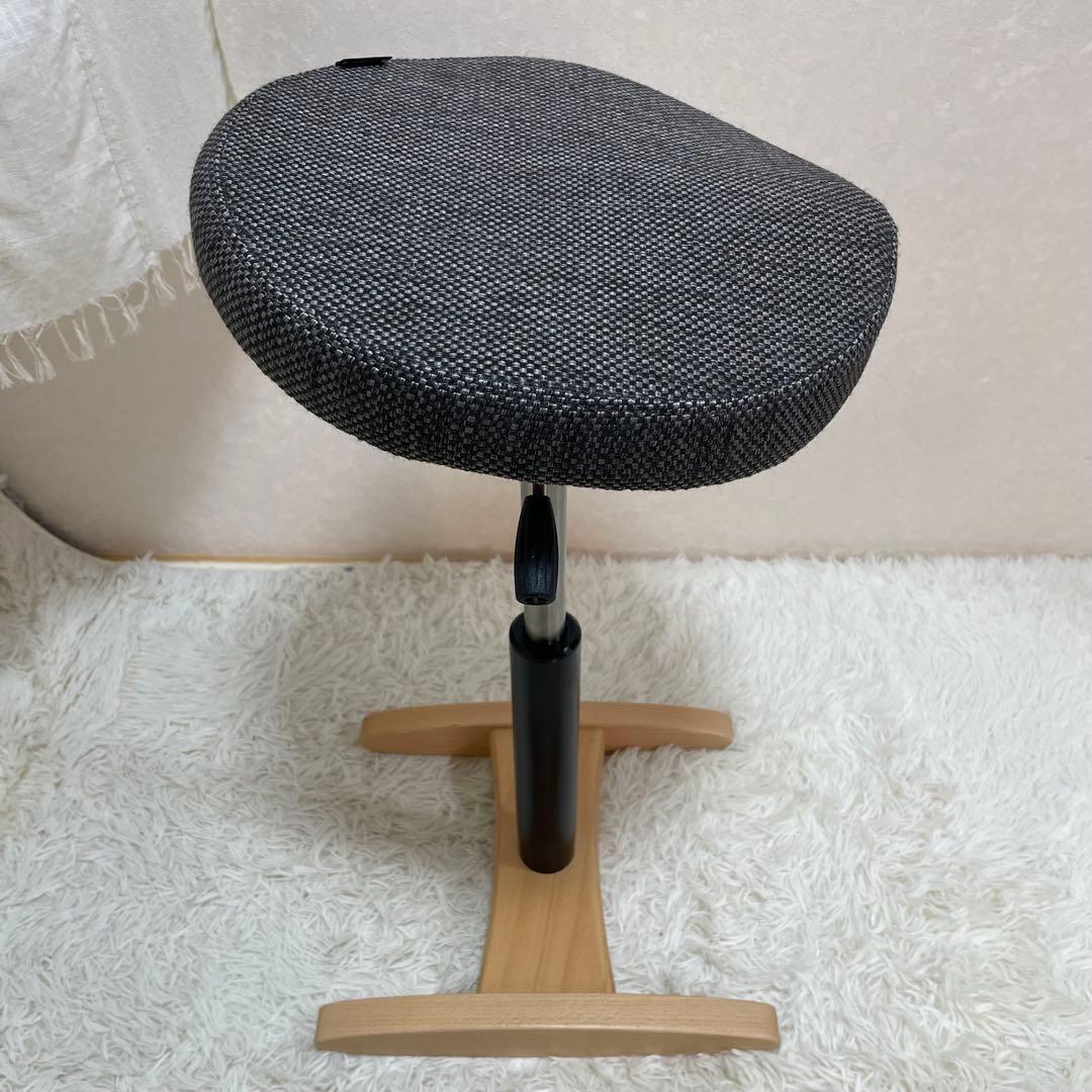 はな丸様用　balance synergy バランス 姿勢矯正チェア シナジー