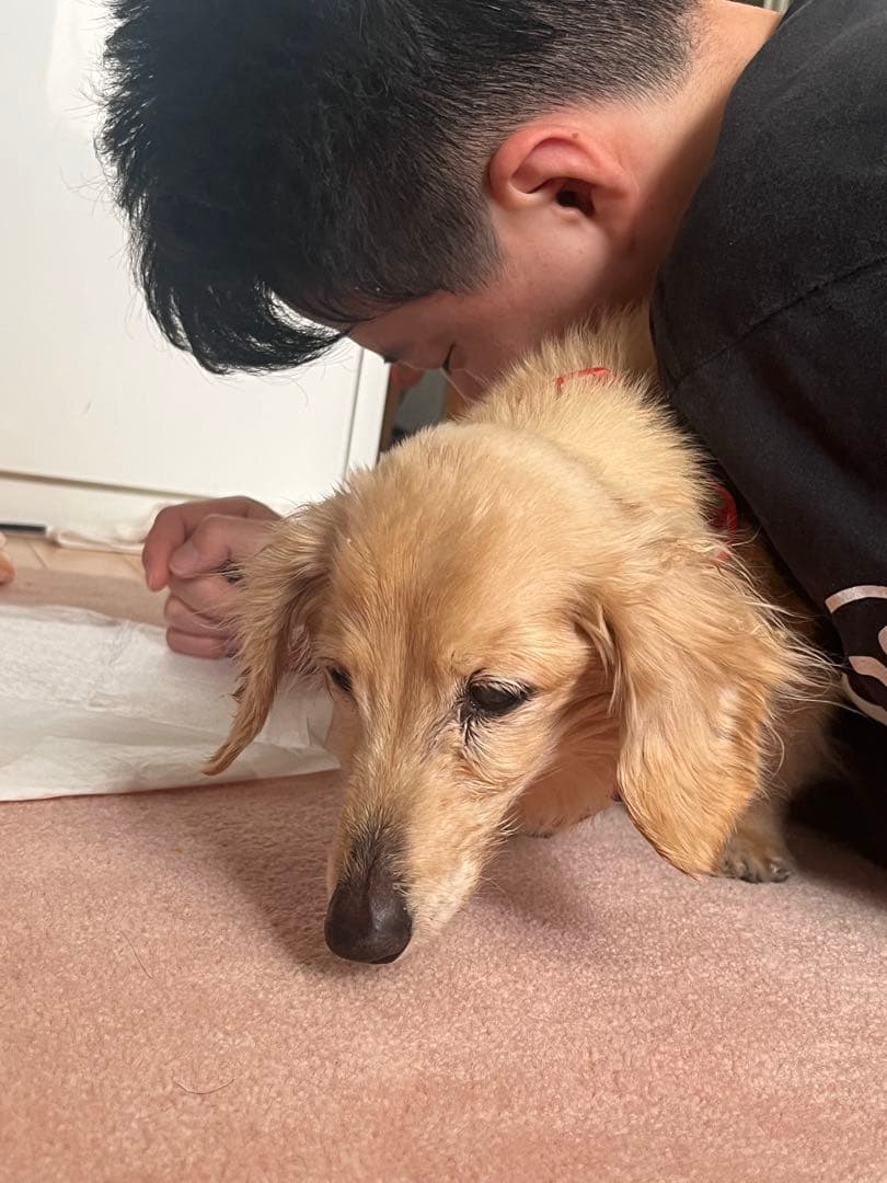 作品のための資料