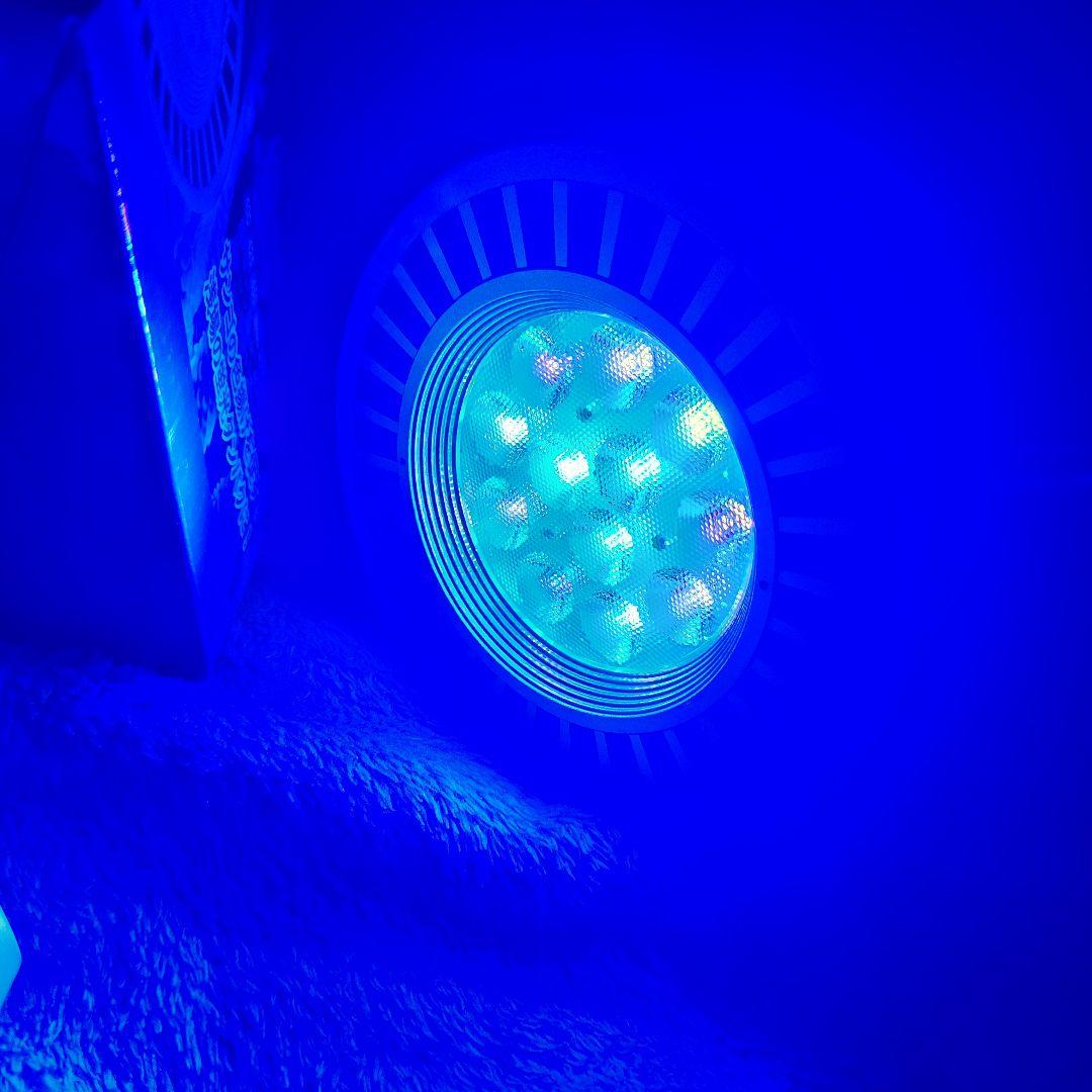 GrassyLedio RX122 Deep LEDライト　グラッシーレディオ