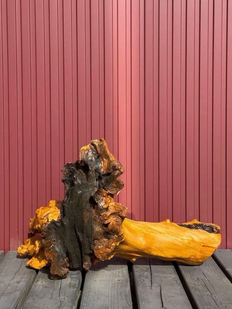 【一点もの】天然木 根流木 オブジェ 飴色仕上げ インテリア 盆栽台 置物