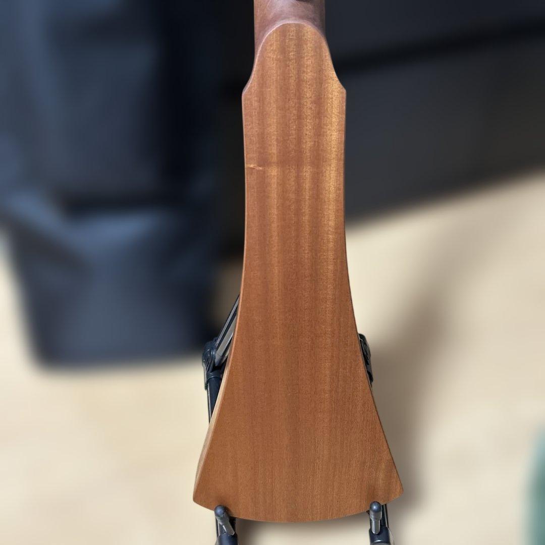 Martin & Co. バックパックギター