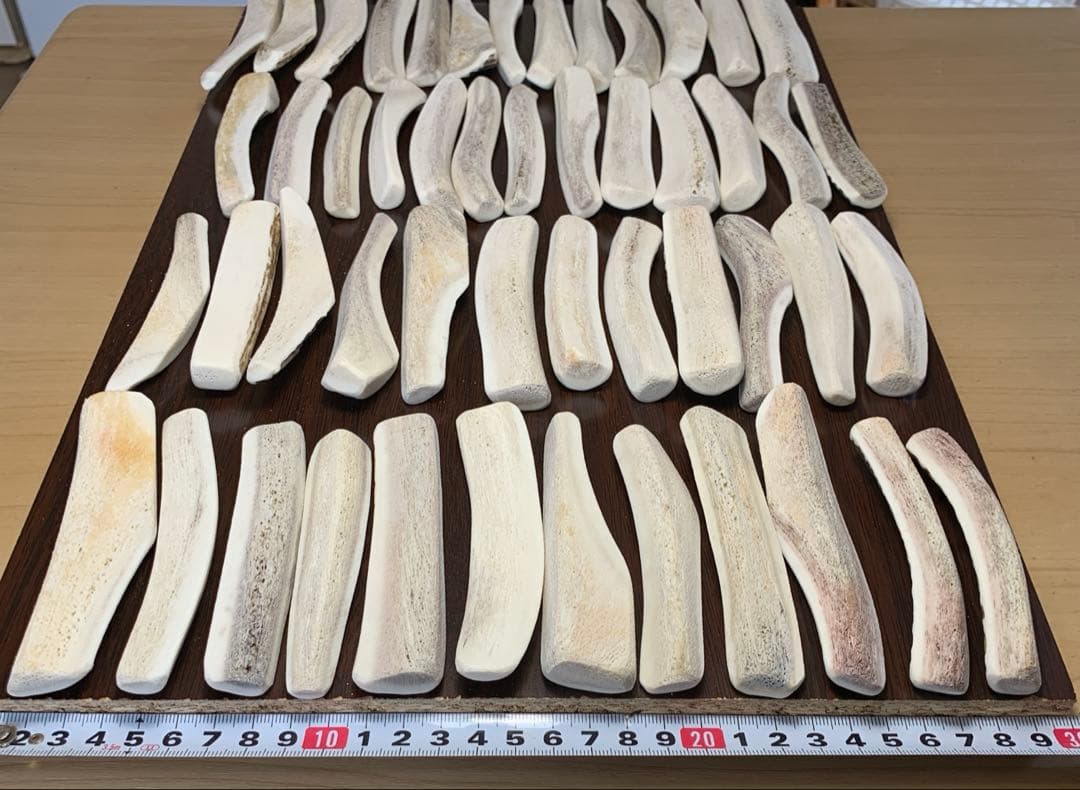 No.2191『鹿角4つ割り50本セット』鹿の角　エゾ鹿　鹿角　蝦夷鹿