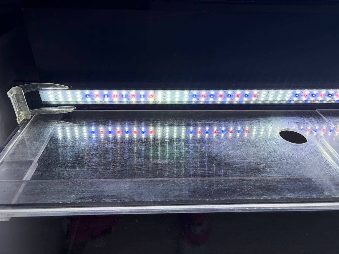 大型 水槽セット メタルラック 2段 LEDライト付き KOTOBUKIコトブキ