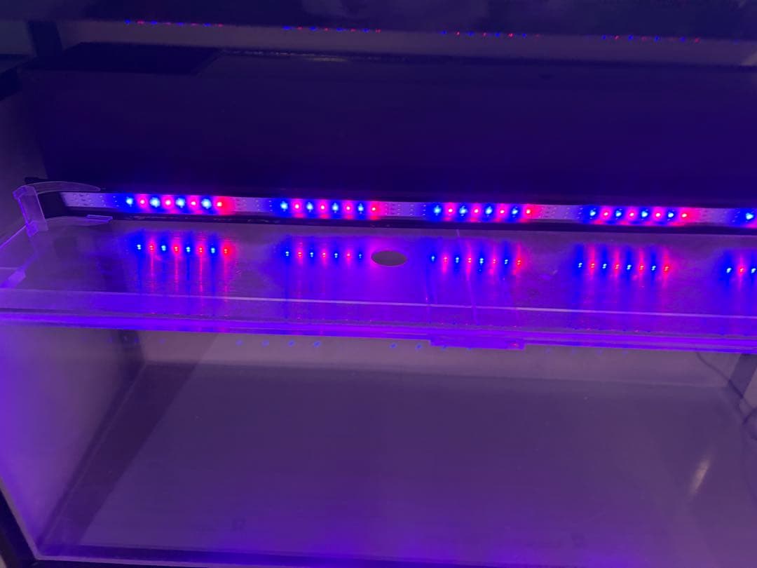 大型 水槽セット メタルラック 2段 LEDライト付き KOTOBUKIコトブキ