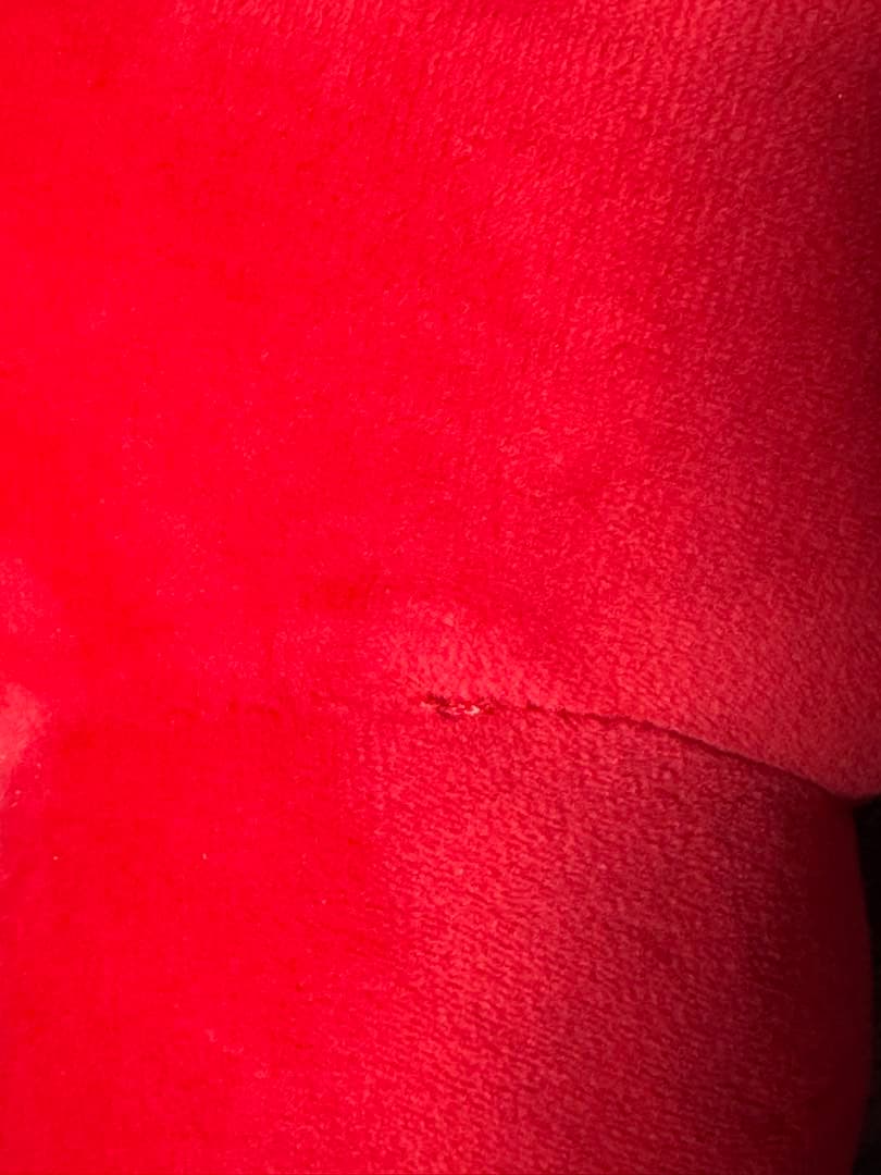 『会場で購入』大阪万博ミャクミャクなりきりクッションぬいぐるみ　L サイズ