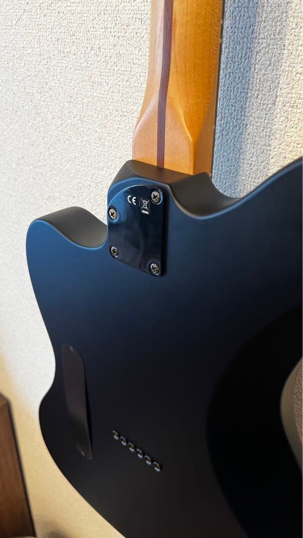 ギター Fender Jim Root Jazzmaster