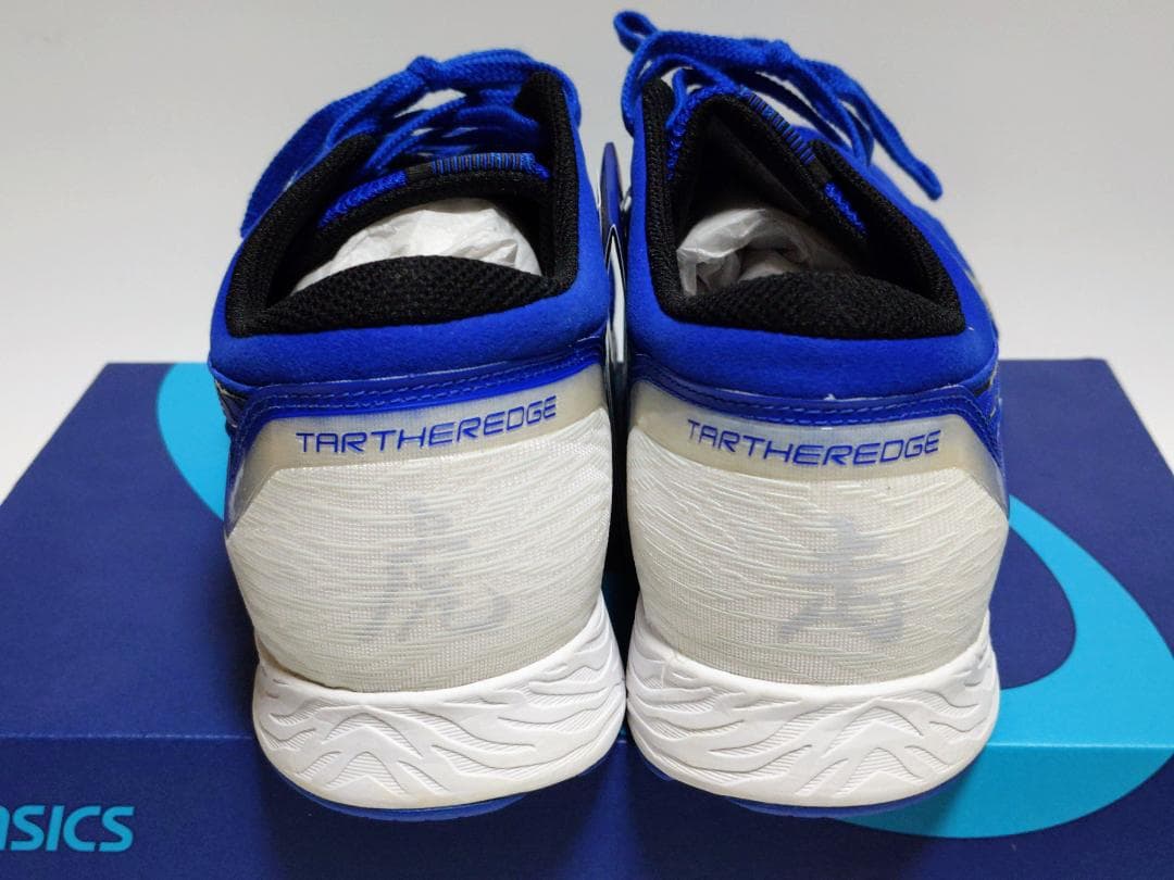 asics TARTHEREDGE WIDE　メンズ　ランニングシューズ