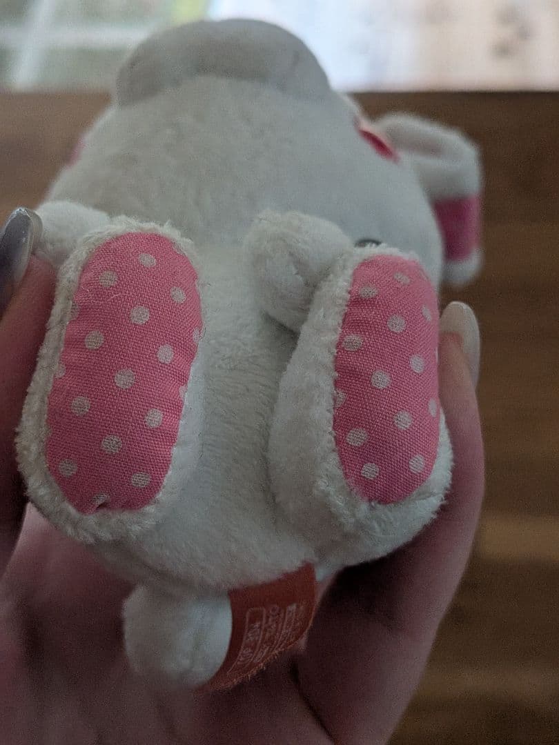 汎用うさぎ ドット柄 ホワイト