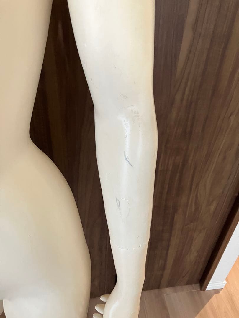 トルソー 女性用マネキン 袖付き スタンド付き レディース マネキン