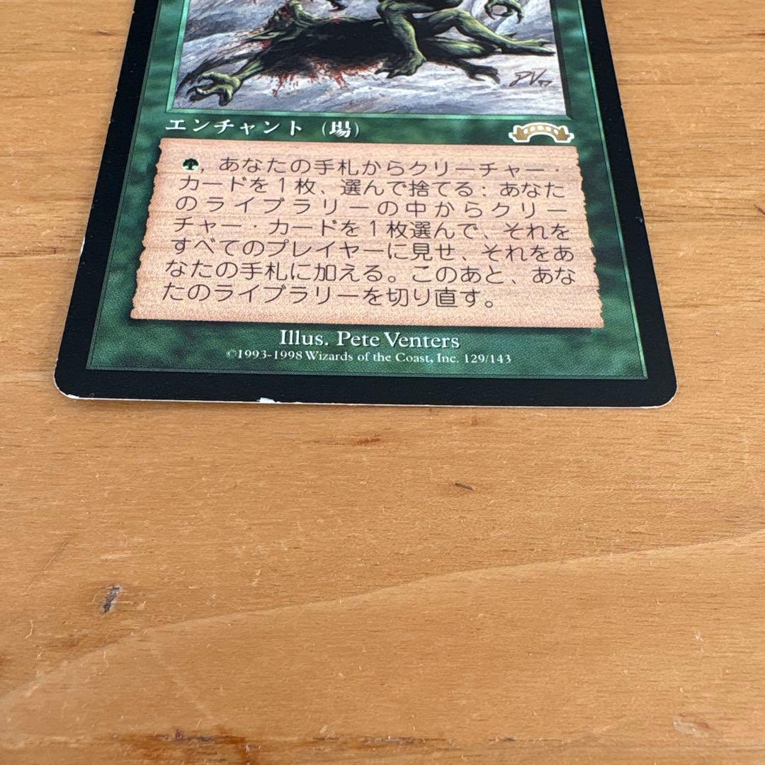 マジックザギャザリング 適者生存　MTG 日本語版 ギャザリング トレカ　EXO