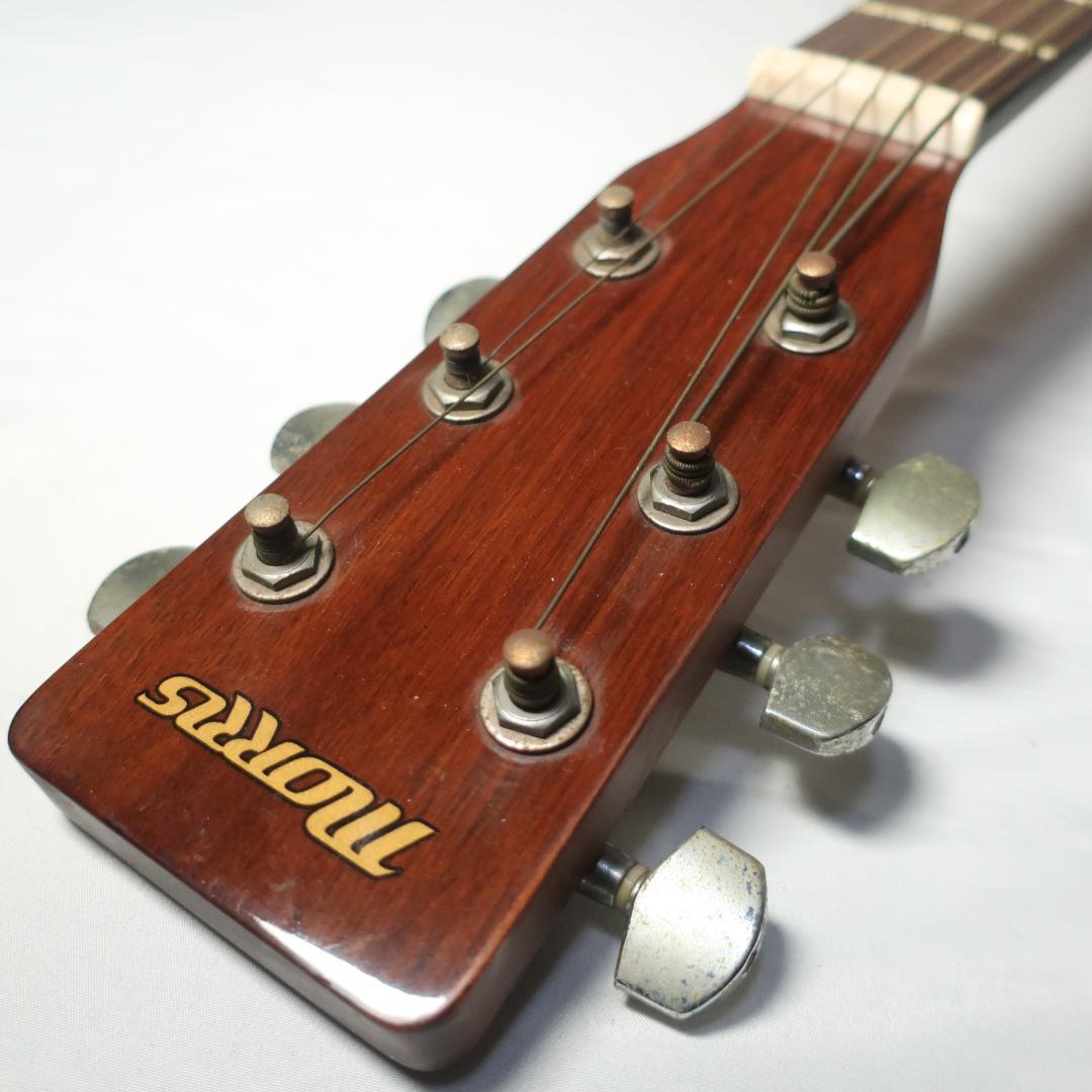Morris MD256TS アコースティックギター