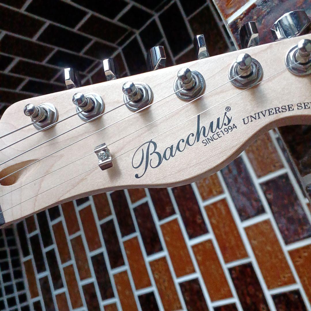 【バッカス】　ブラック ソリッドボディ エレキギター　ソフトケース他付属品