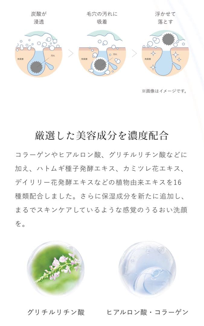 SHIRORU クリスタルホイップ 12本セット