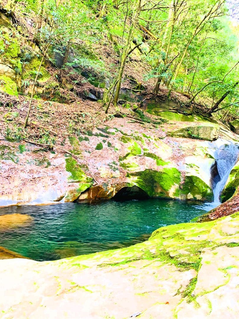 【龍神鑑定】龍神様との御縁繋ぎ【御神水】