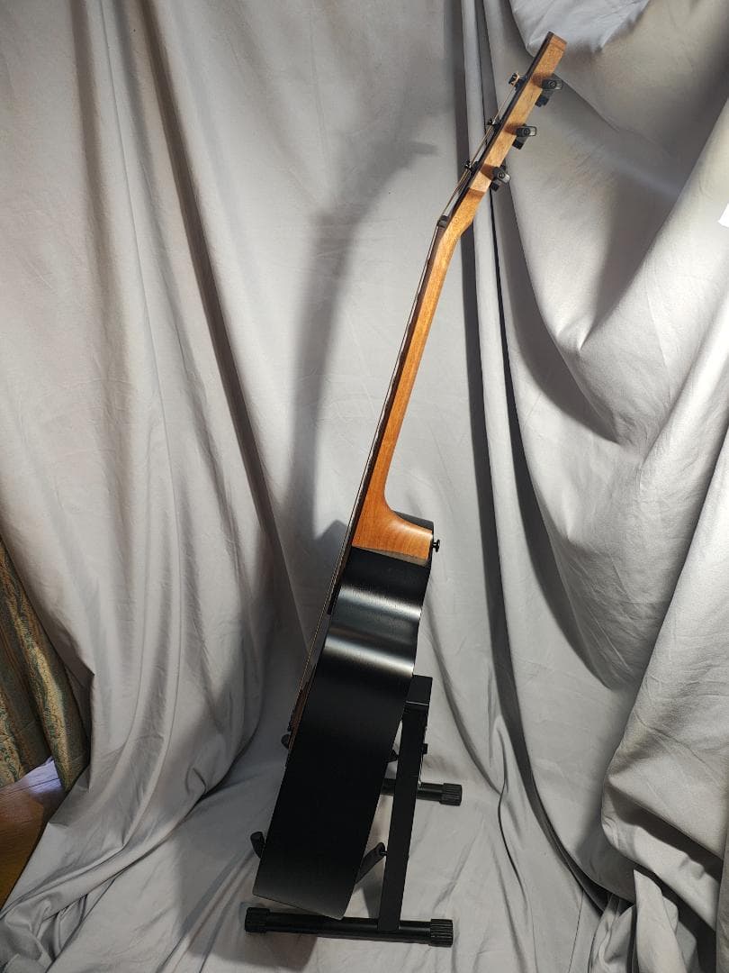 LAG-T70DCE エレアコ サンバースト