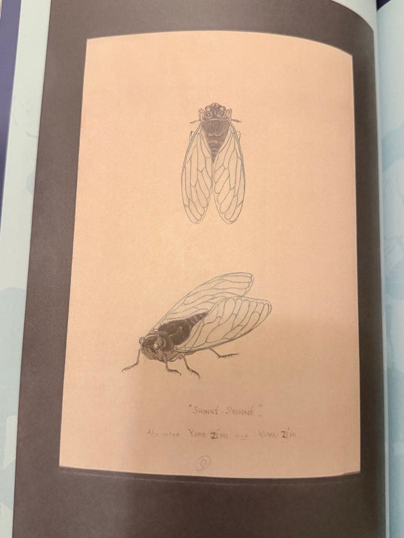 渋*７様 『虫の詩 かそけきものの声音を愛す』小泉八雲