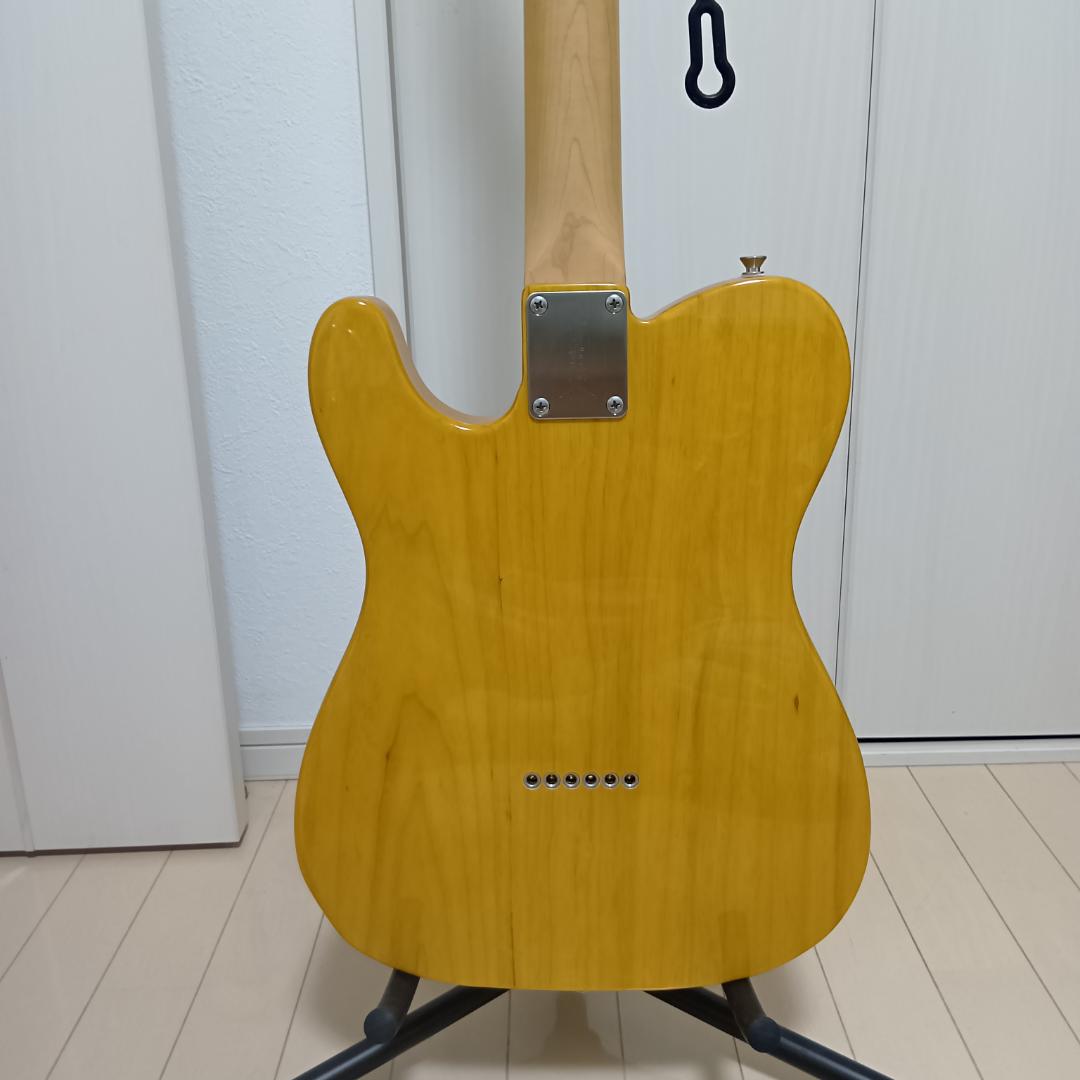 フジゲン テレキャスター Neo Classic Series