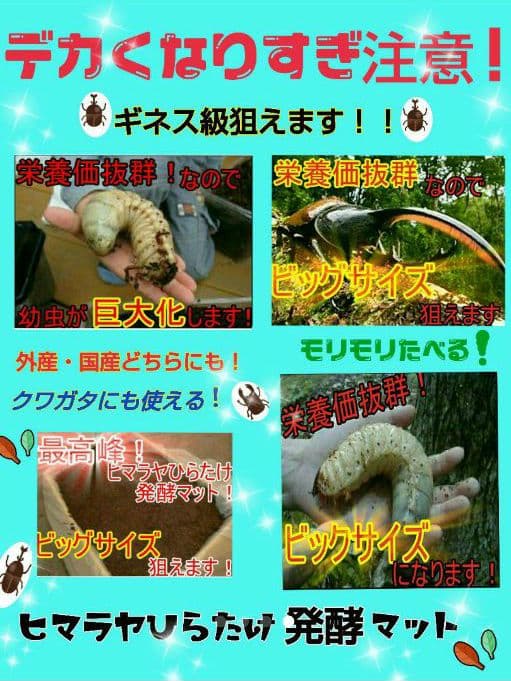 送料無料！40リットル　ヘラクレスも巨大化！ヒマラヤひらたけ発酵カブトムシマット