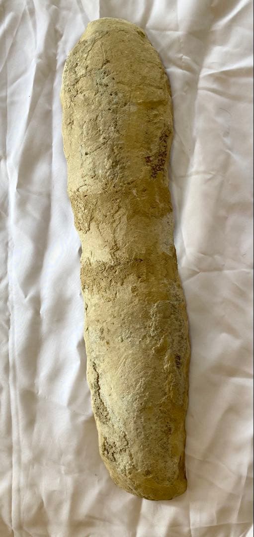 ブラジル産　魚の化石　4.7kg 62cm×14cm ①