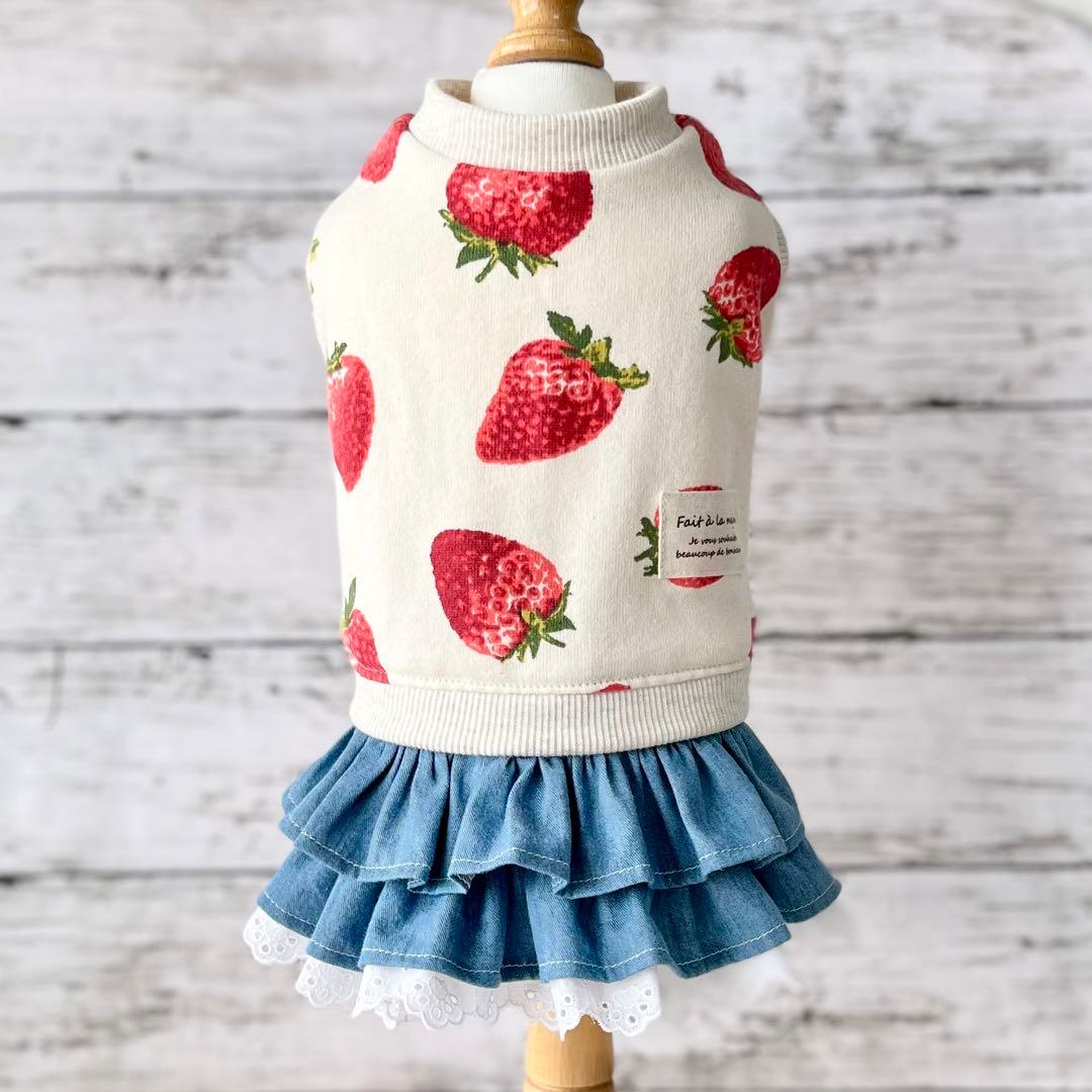 【オーダー】紅いちご×デニムフリルスカートのセットイントレーナー犬服