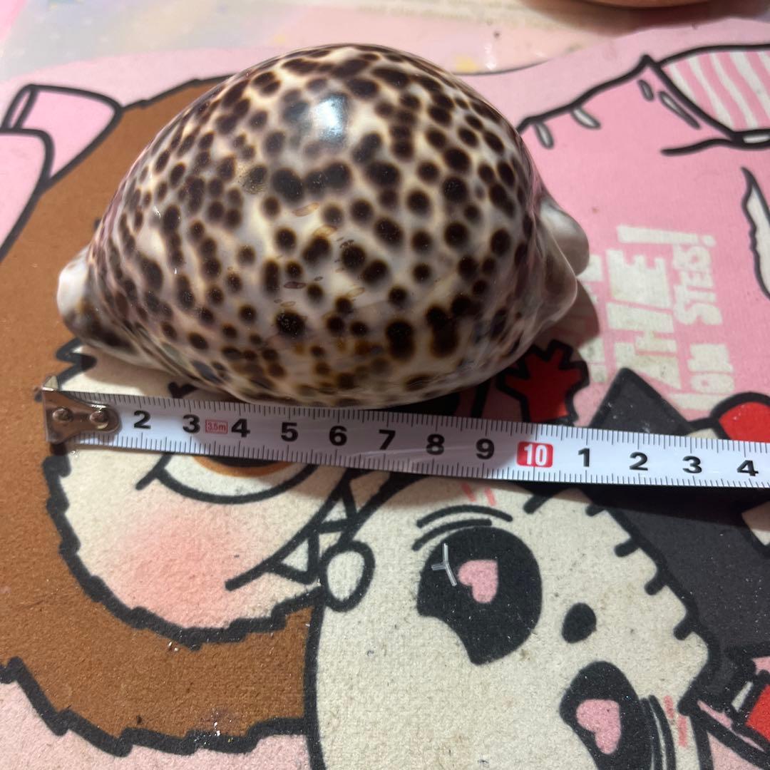 まーくんさん専用