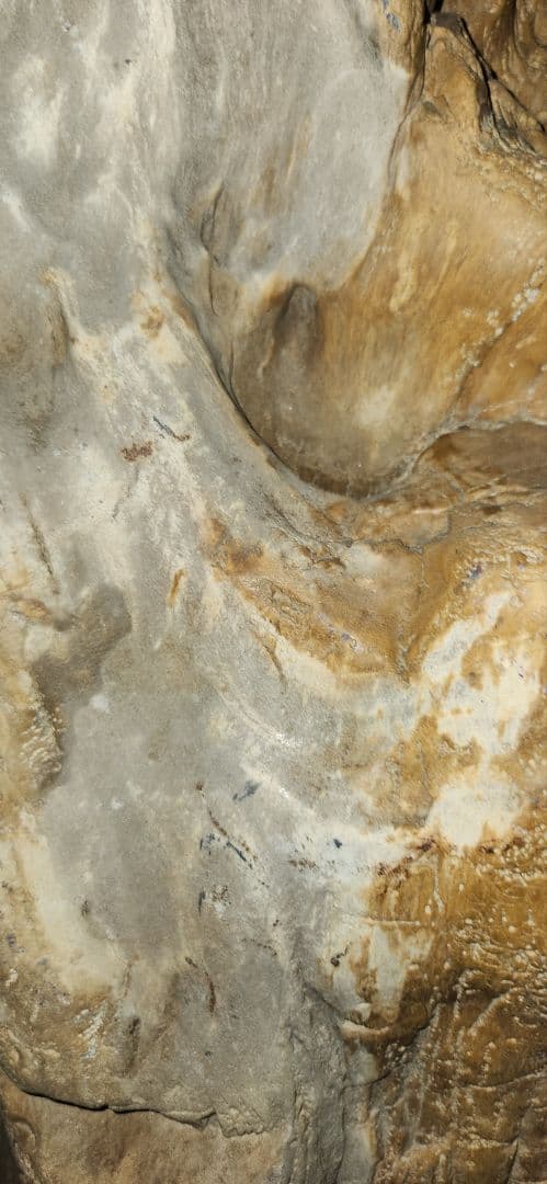 珪化木 木化石 パワーストーン オブジェ 置物 化石 大型 希少