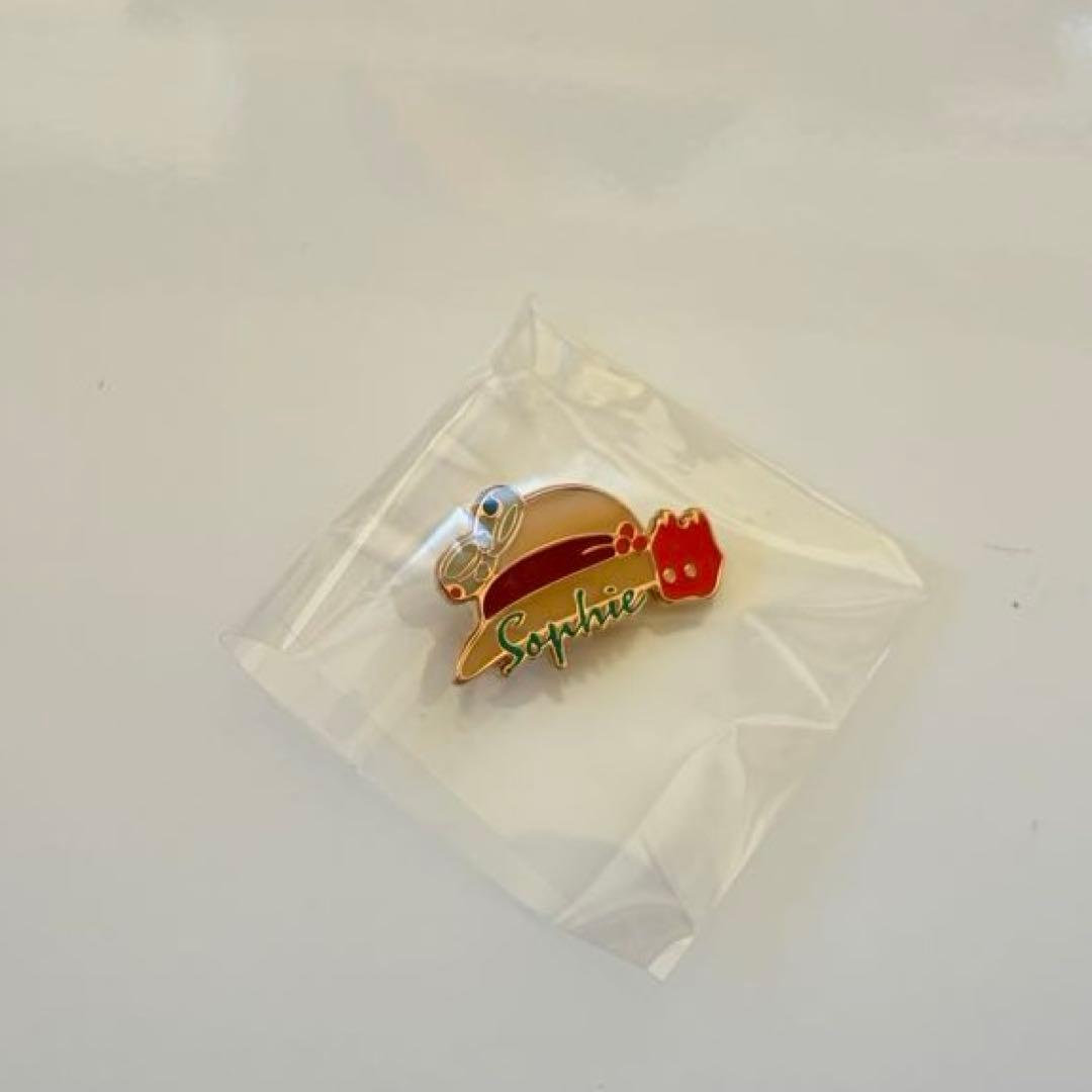 ジブリがいっぱい　ピンズコレクション　私のお気に入り