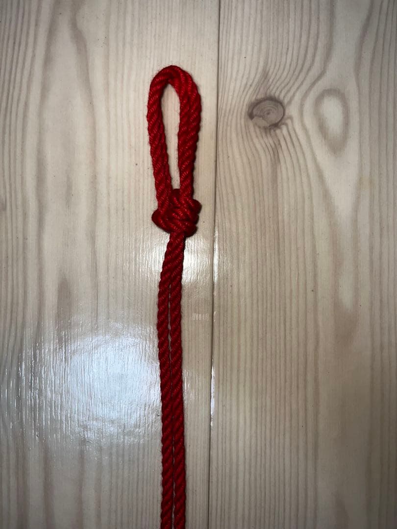 【レア・新品未使用】Hajime Kinoko 約63cm