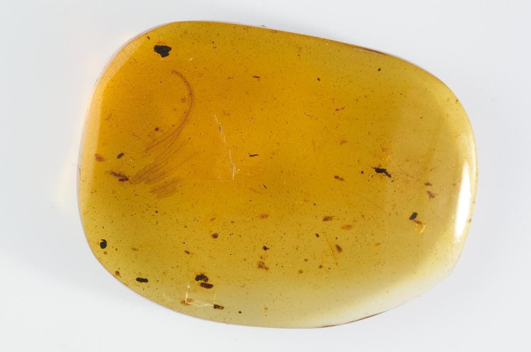 レア極上品 PA0093虫入り琥珀化石　ミャンマーカムティかタナイ9900万年前