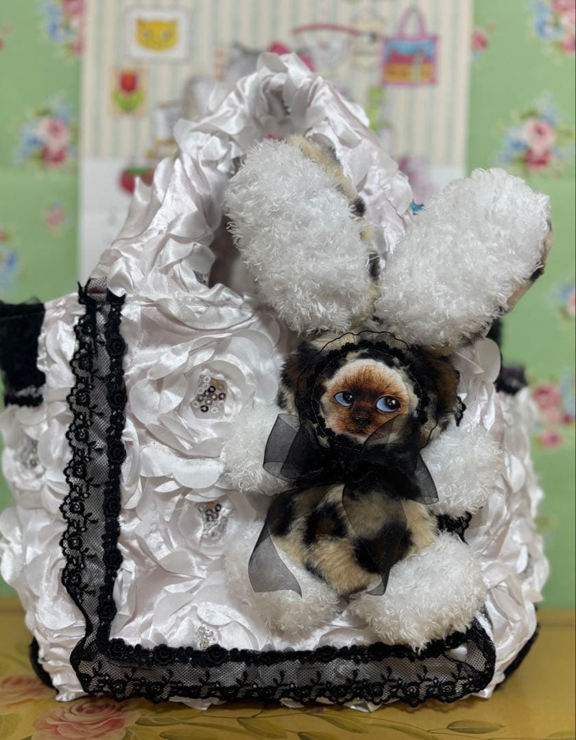 専用です❣️ コヤンイサムチョン　見つめるシリーズ他