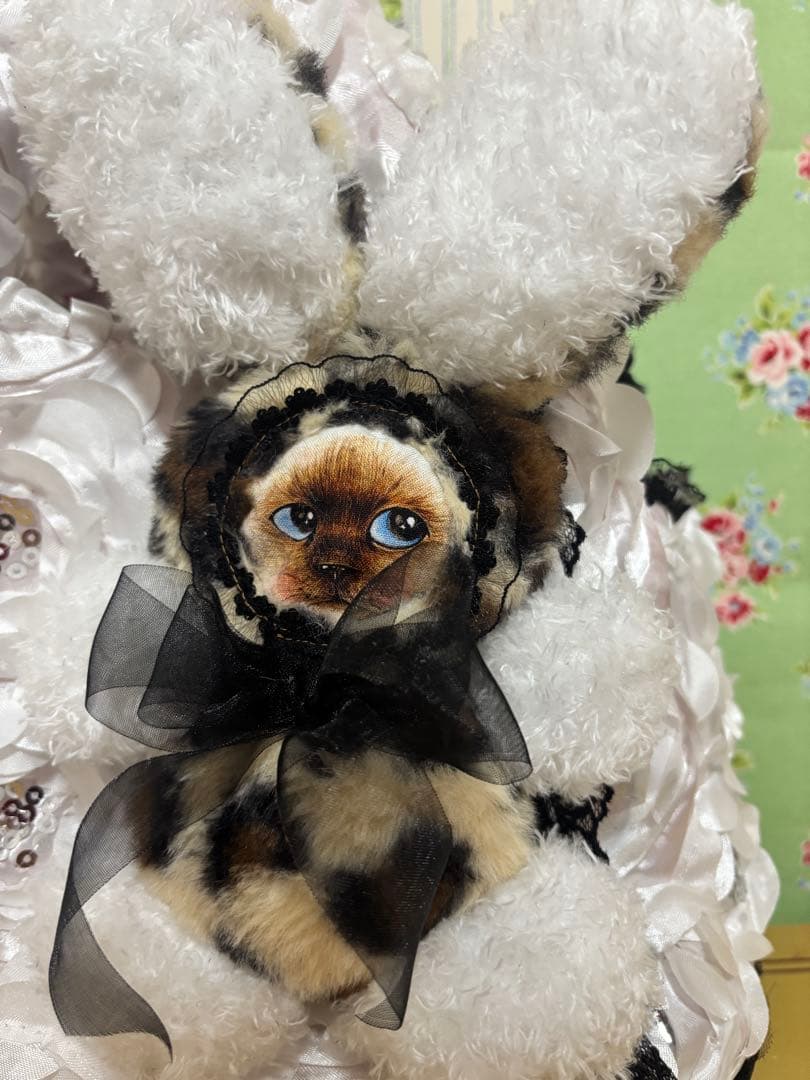 専用です❣️ コヤンイサムチョン　見つめるシリーズ他