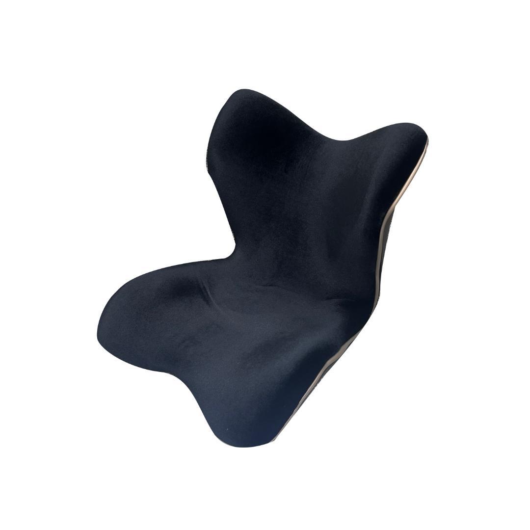 スタイルプレミアムデラックス 「Style PREMIUM DX」