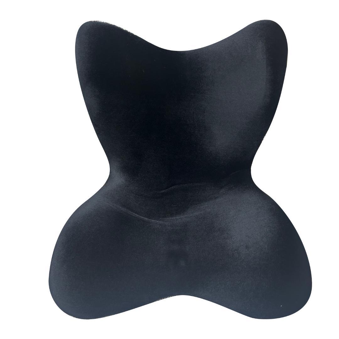 スタイルプレミアムデラックス 「Style PREMIUM DX」