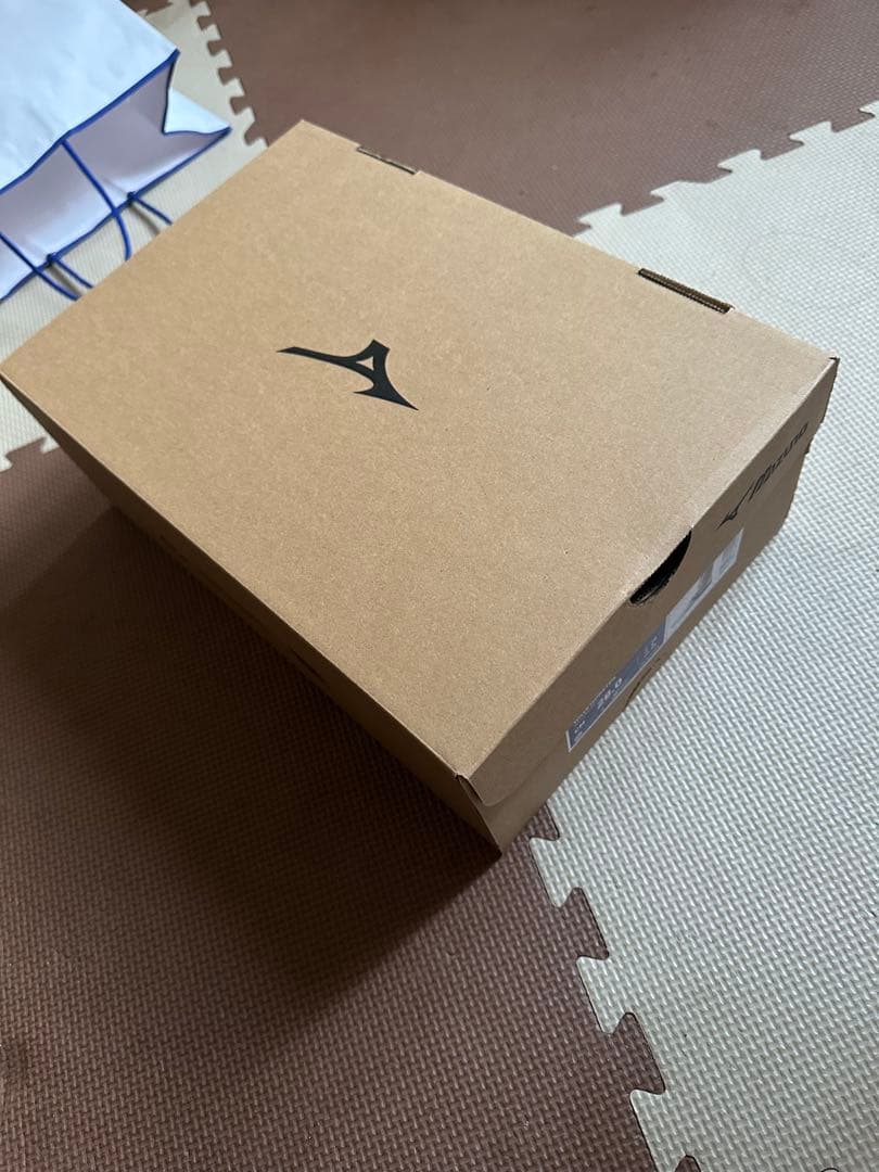 Mizuno Wave Monster ボクシングシューズ 28.0cm