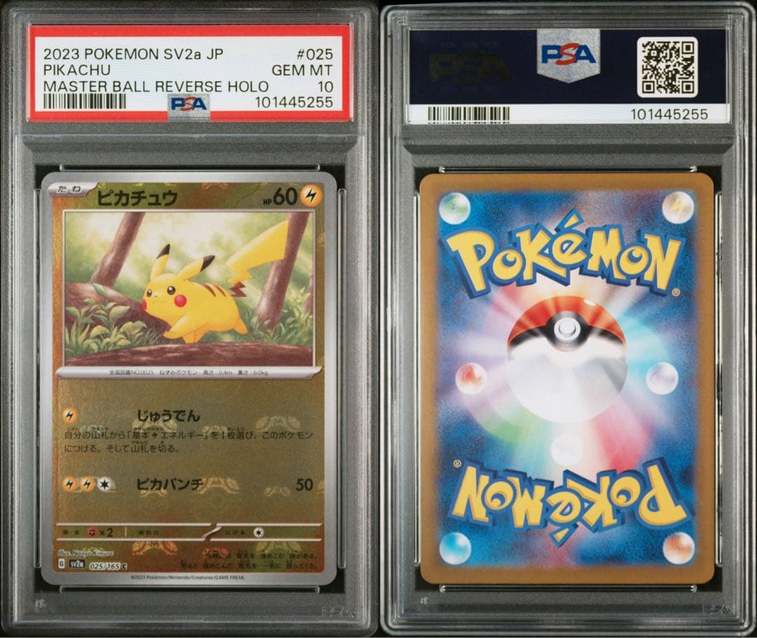 ピカチュウ ライチュウ マスボミラー　連番セット