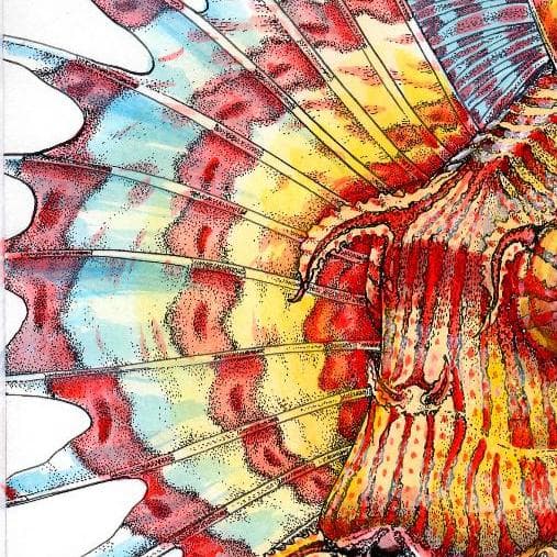 ネイチャーアート「ミノカサゴ」　水彩画