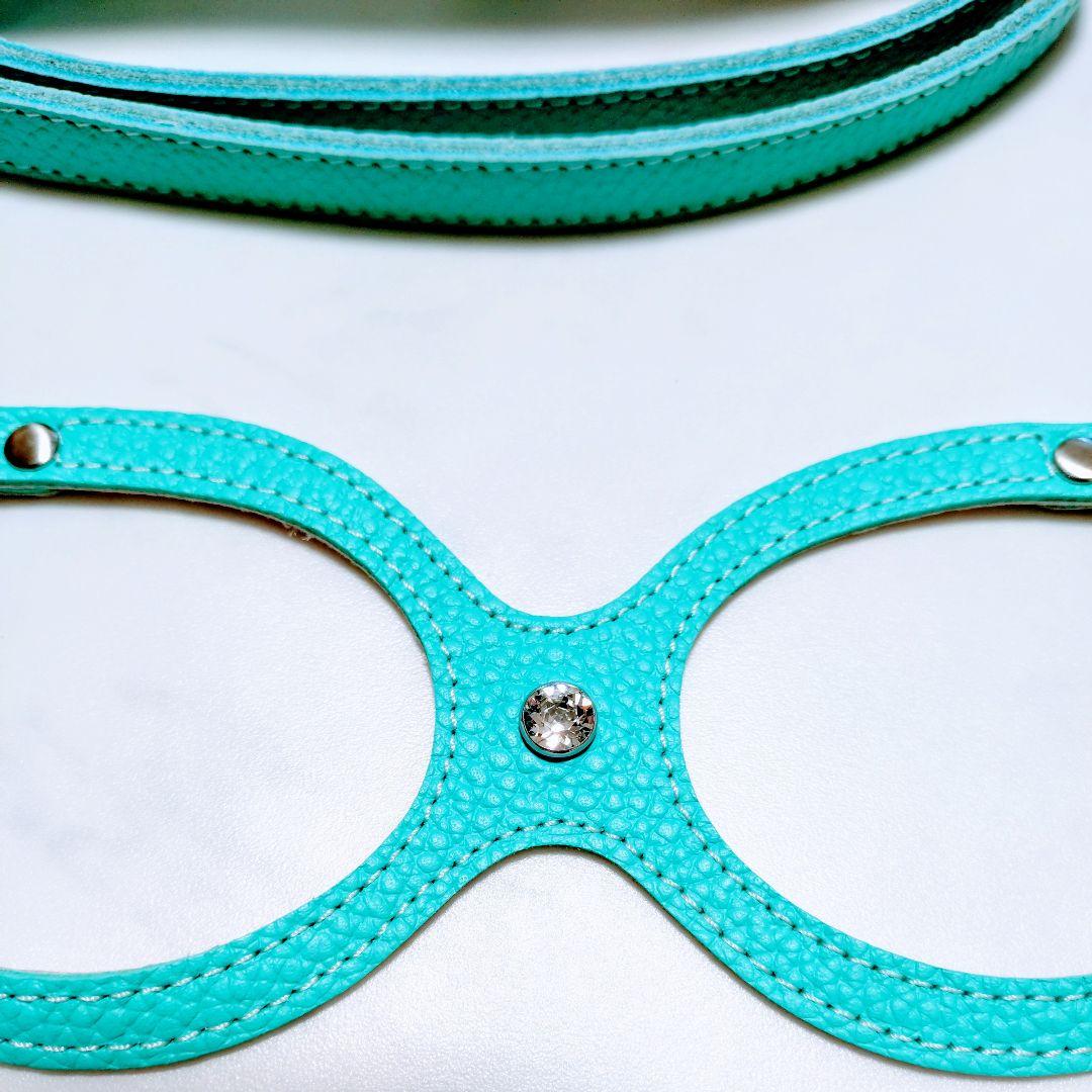 バディーベルト　2点セット ハーネス・リード BUDDYBELT